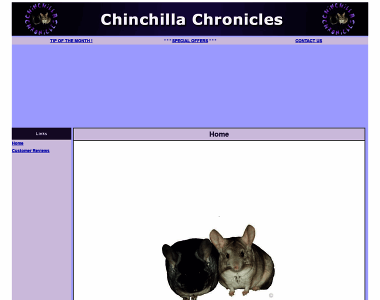 Chinchillachronicles.com thumbnail