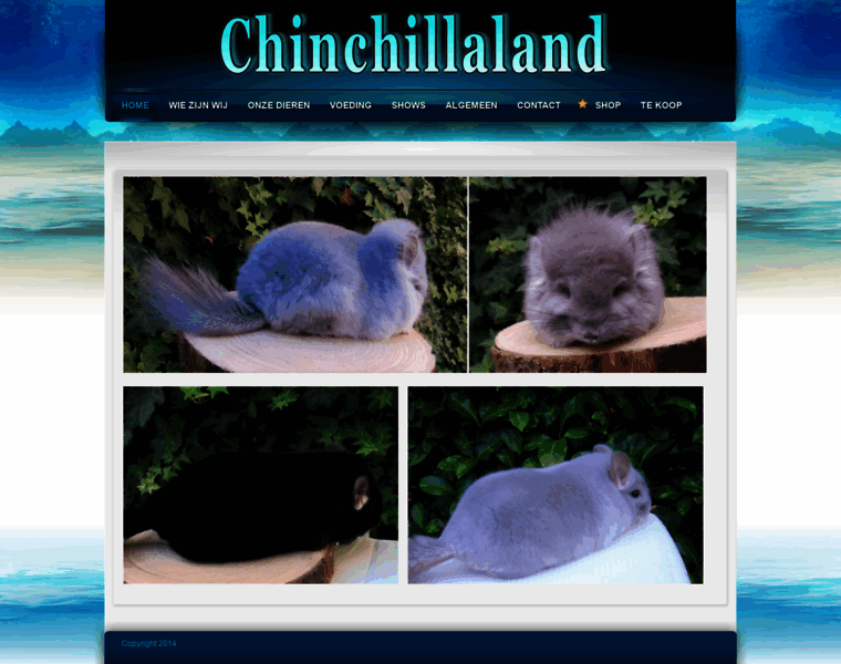 Chinchillaland.nl thumbnail