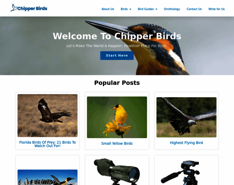 Chipperbirds.com thumbnail