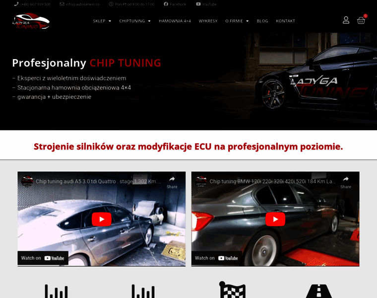 Chiptuningpro.pl thumbnail