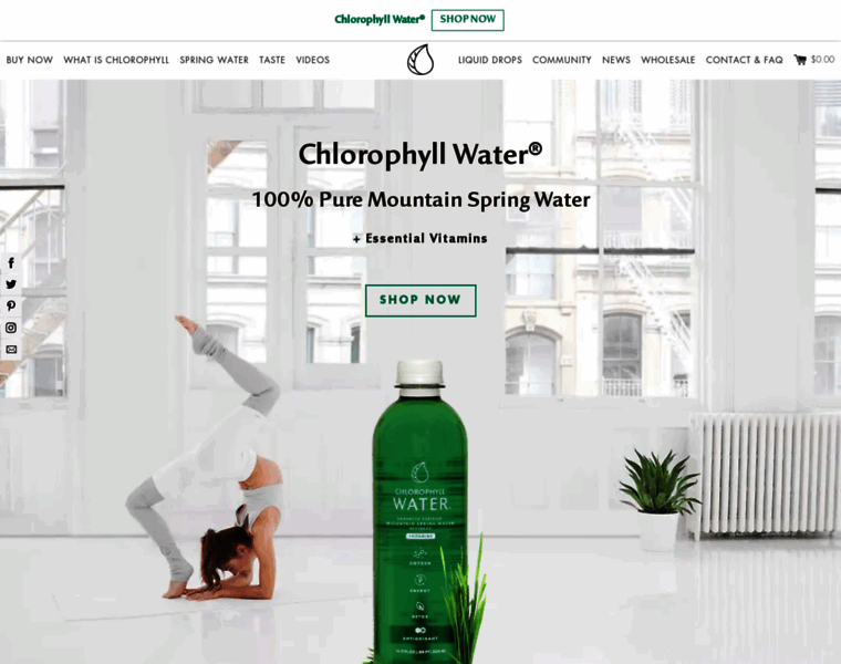 Chlorophyllwater.com thumbnail