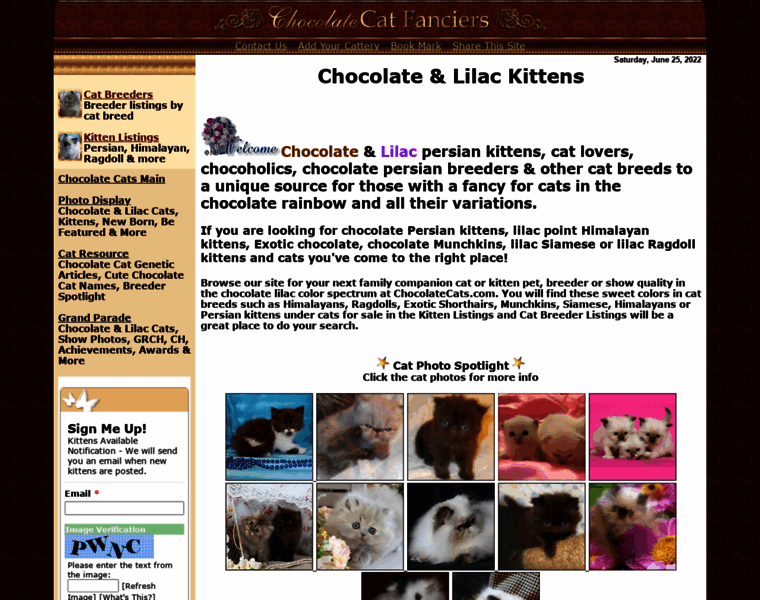 Chocolatecats.com thumbnail