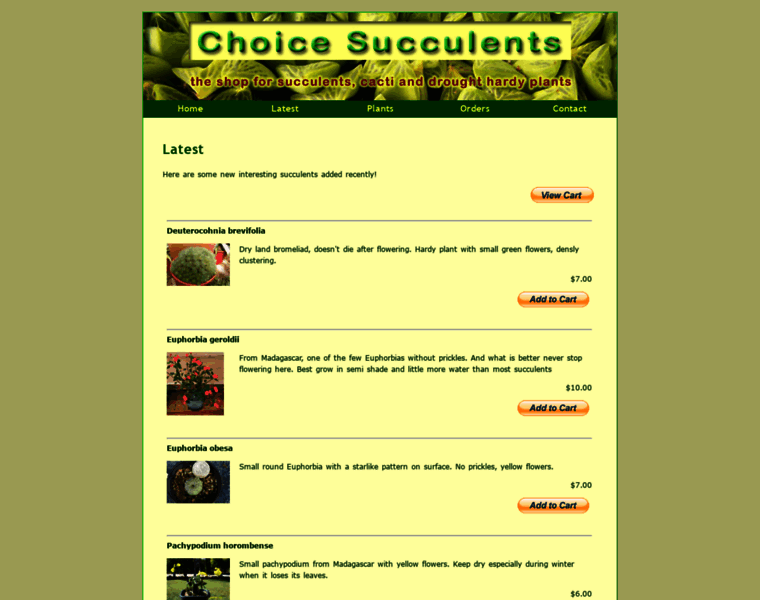 Choicesucculents.com.au thumbnail