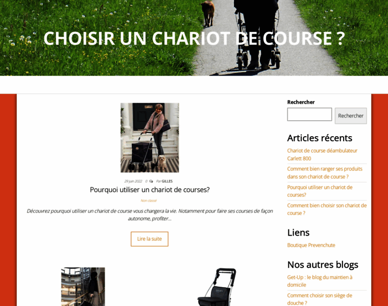 Choisir-chariot-de-course.com thumbnail