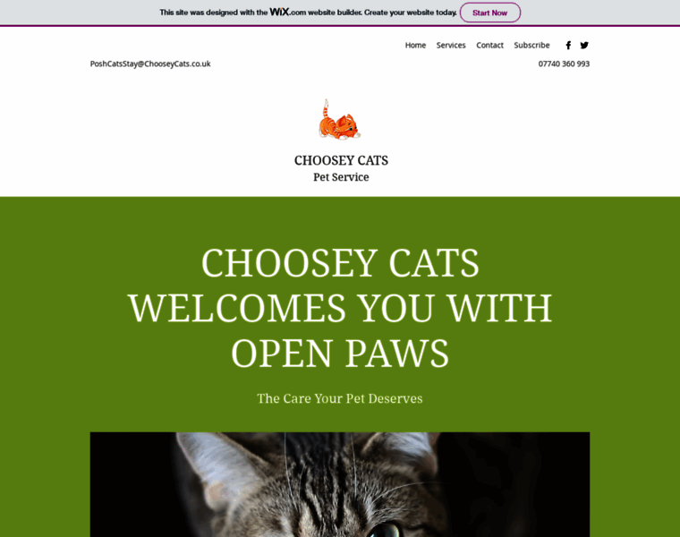 Chooseycats.co.uk thumbnail