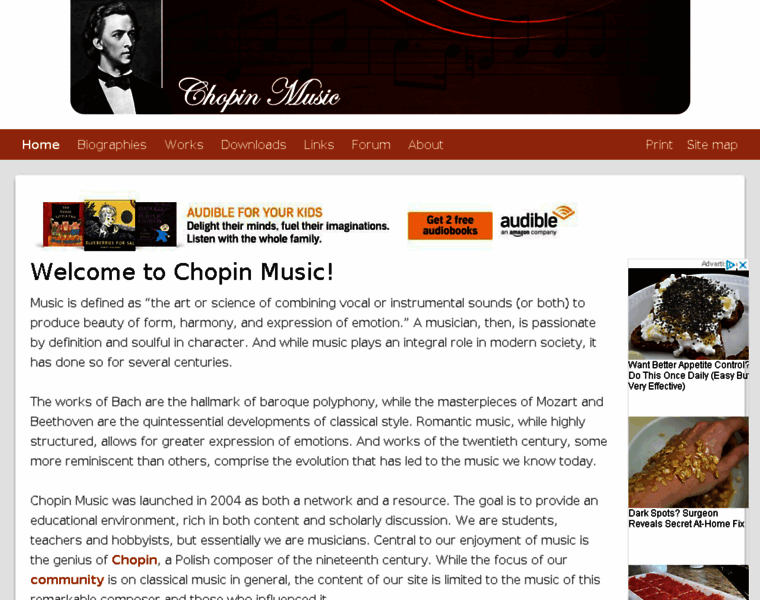 Chopinmusic.net thumbnail