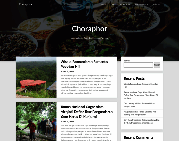 Choraphor.com thumbnail