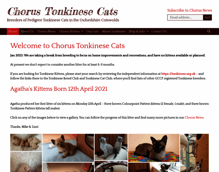 Choruscats.uk thumbnail