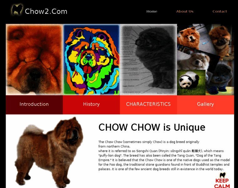Chow2.com thumbnail