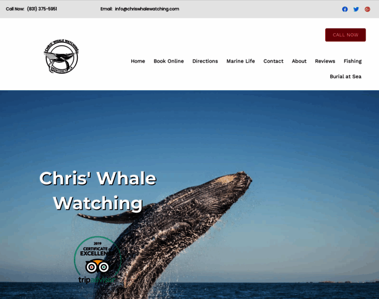 Chrisswhalewatching.com thumbnail