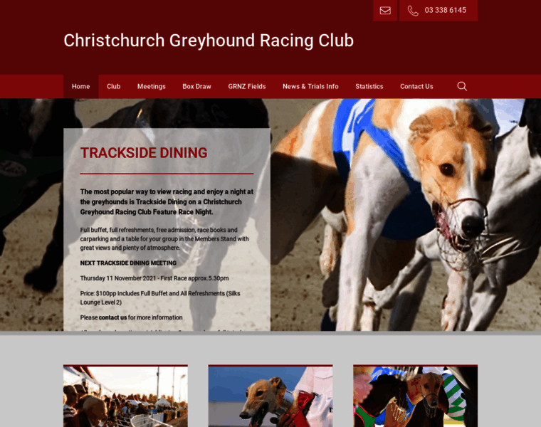 Christchurchgreyhounds.co.nz thumbnail
