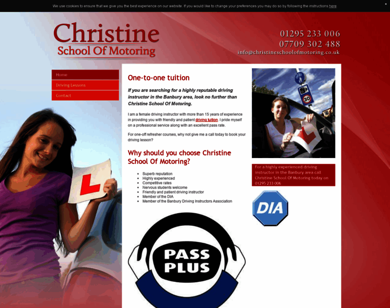 Christineschoolofmotoring.co.uk thumbnail