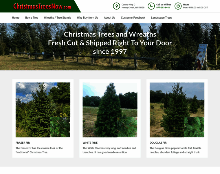 Christmastreesnow.com thumbnail