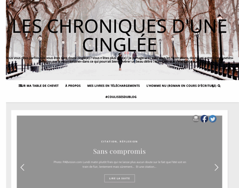Chroniquesdunecinglee.com thumbnail