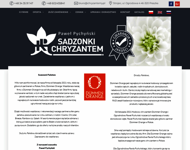 Chryzantemy.pl thumbnail