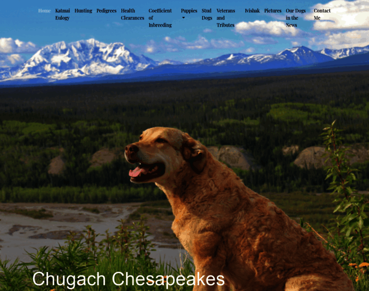 Chugachchesapeakes.com thumbnail