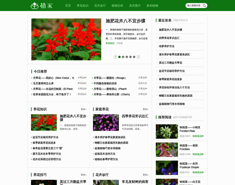 Chuzhan.org thumbnail