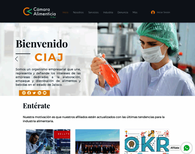 Ciaj.org.mx thumbnail
