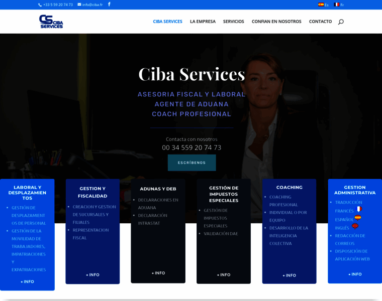 Ciba-services.fr thumbnail