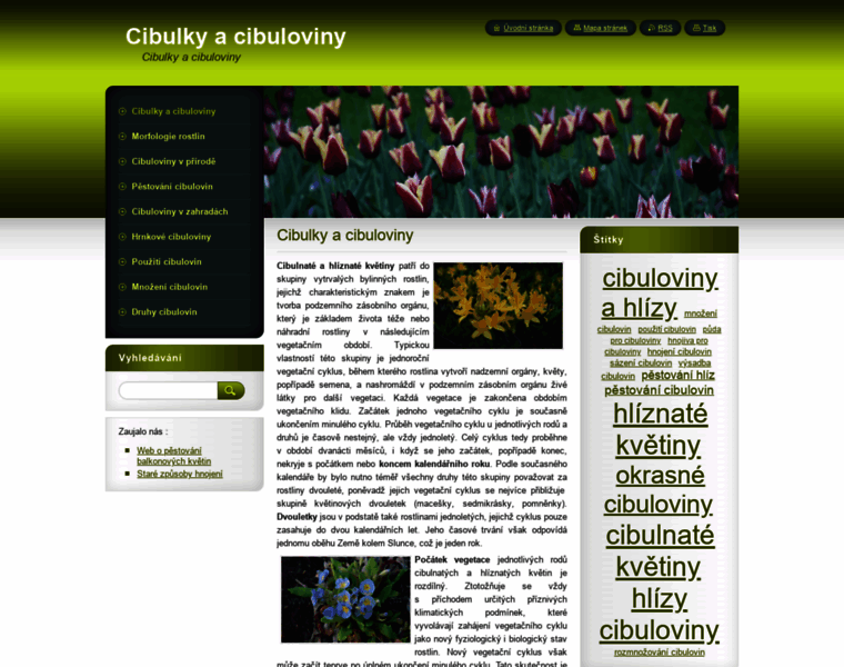 Cibuloviny.com thumbnail