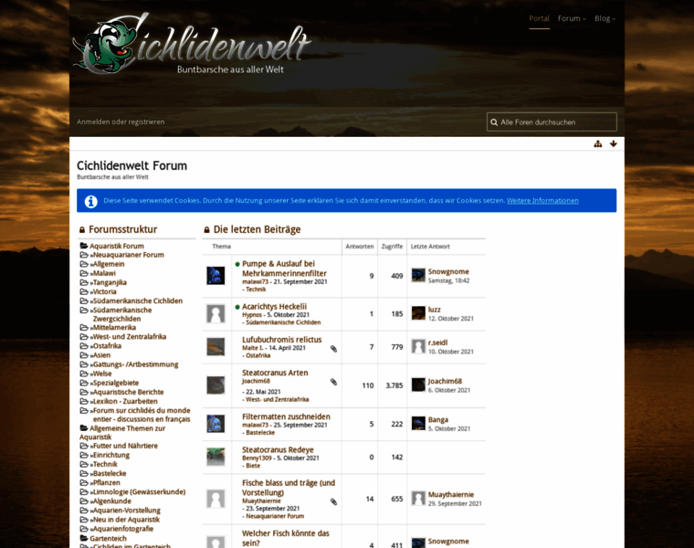 Cichlidenwelt.de thumbnail