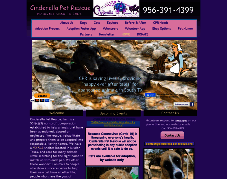 Cinderella-pet-rescue.org thumbnail