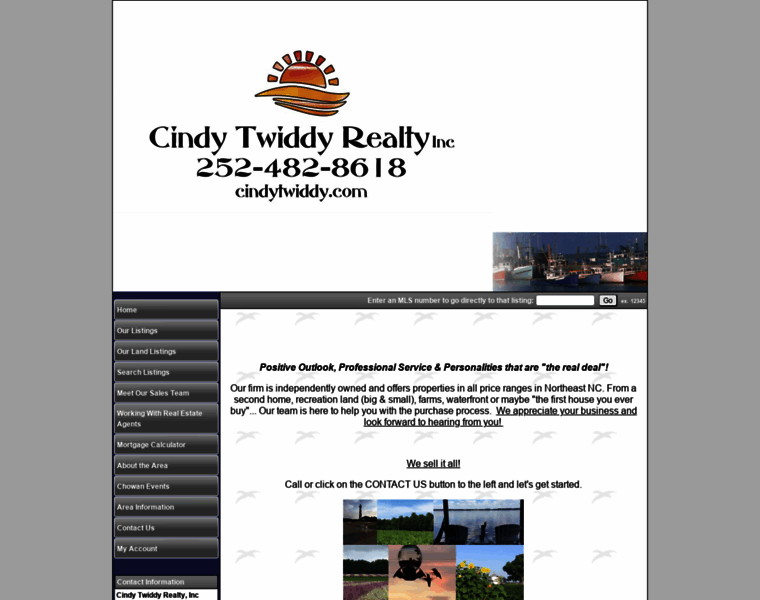 Cindytwiddy.com thumbnail