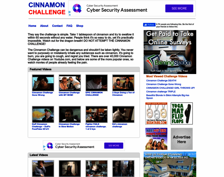 Cinnamonchallenge.com thumbnail