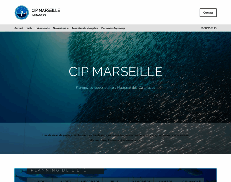 Cip-marseille.fr thumbnail
