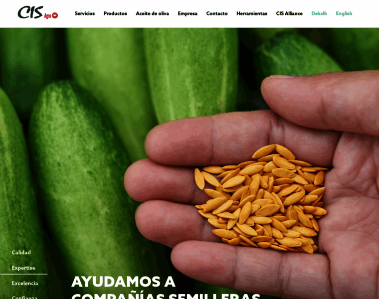 Cischile.cl thumbnail