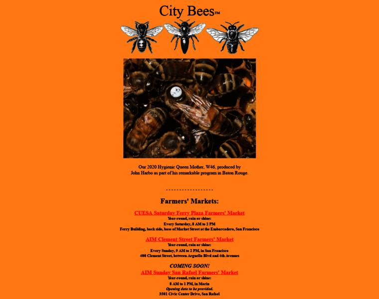 Citybees.com thumbnail