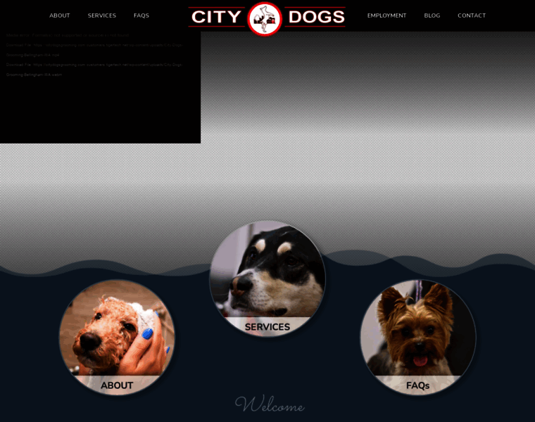 Citydogsgrooming.com thumbnail