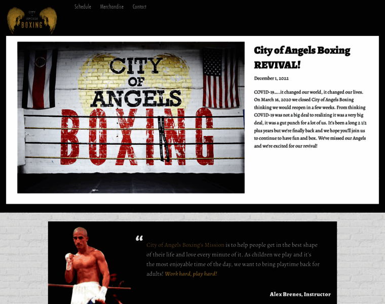 Cityofangelsboxing.com thumbnail