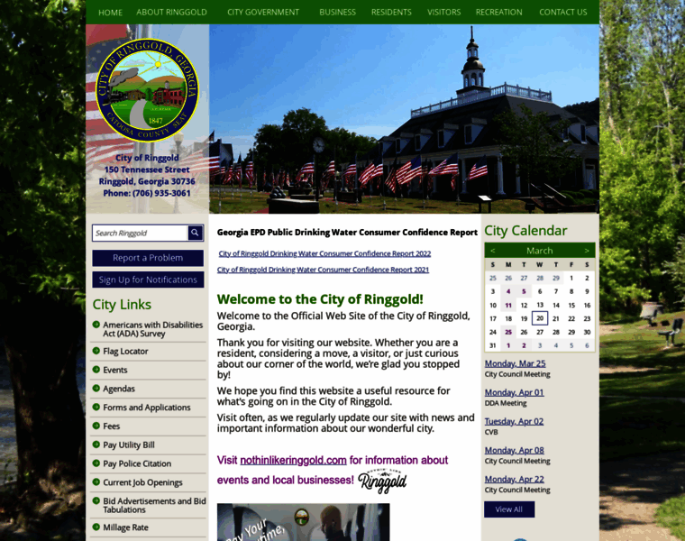 Cityofringgoldga.gov thumbnail
