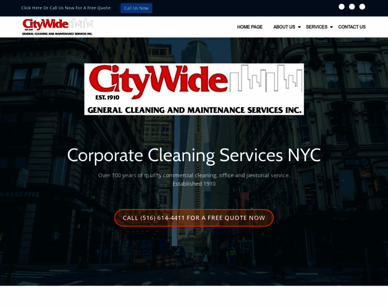 Citywidecleaning.com thumbnail