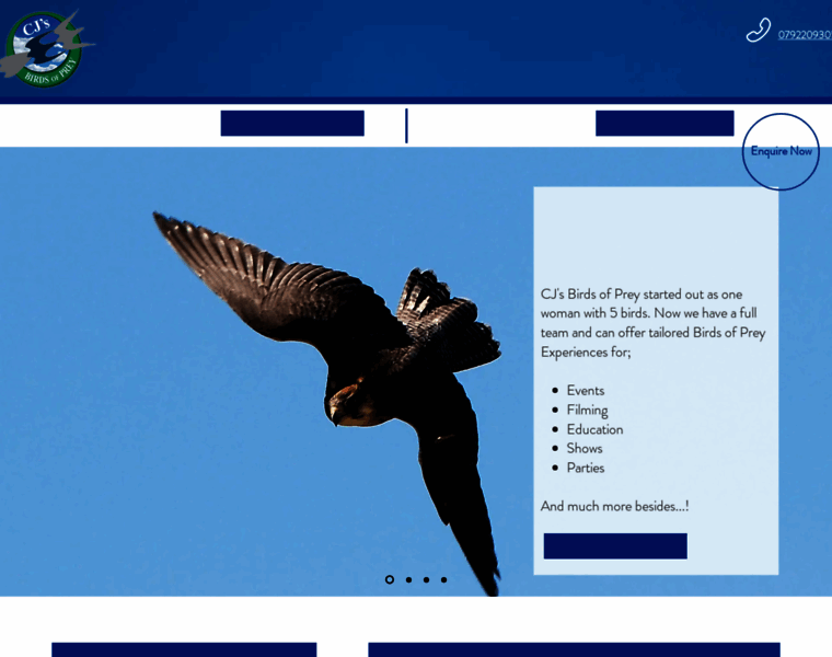 Cjsbirdsofprey.co.uk thumbnail