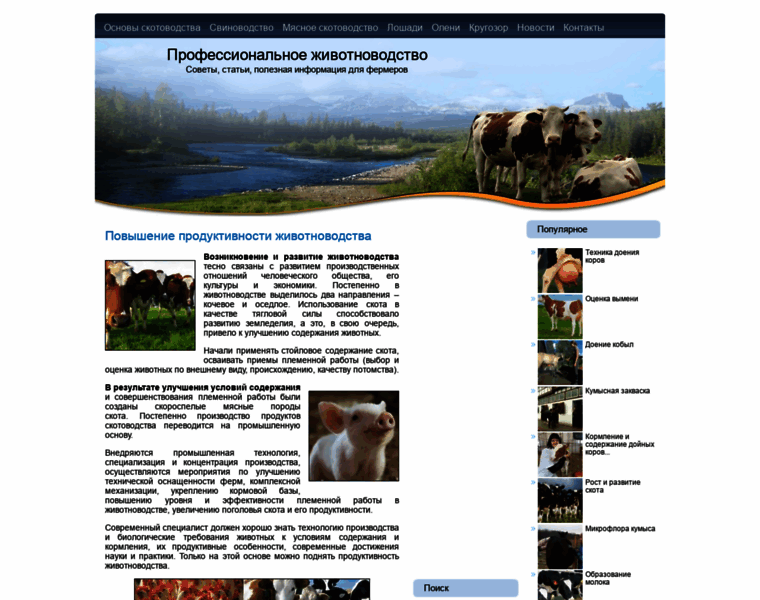 Cjzone.ru thumbnail
