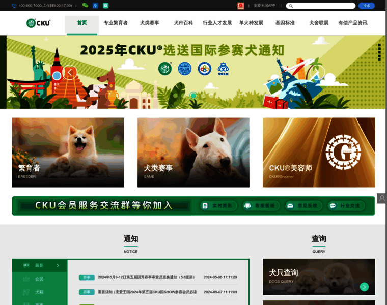 Cku.org.cn thumbnail