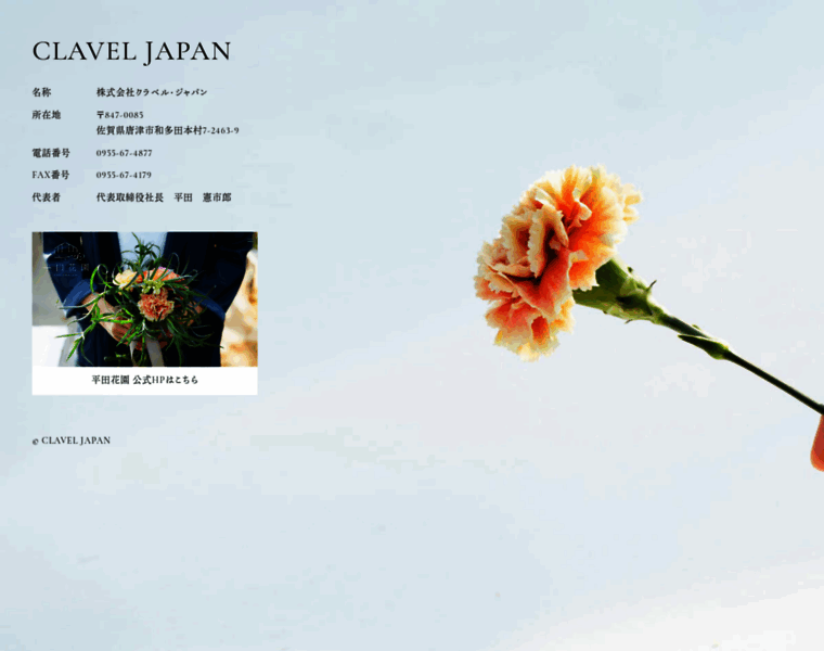 Clavel-japan.jp thumbnail