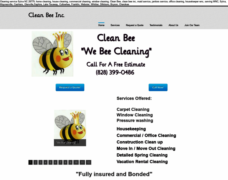 Cleanbeeinc.com thumbnail