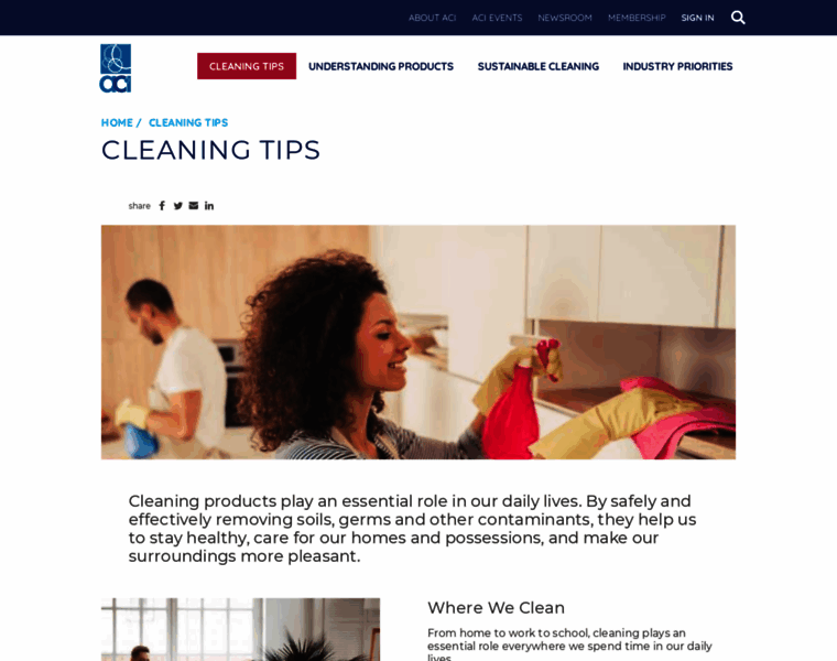 Cleaning101.com thumbnail