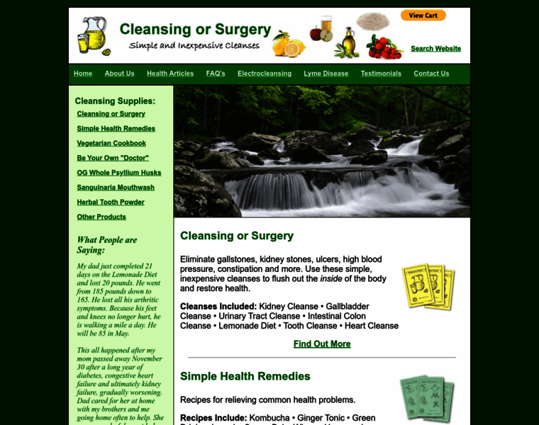 Cleansingorsurgery.com thumbnail