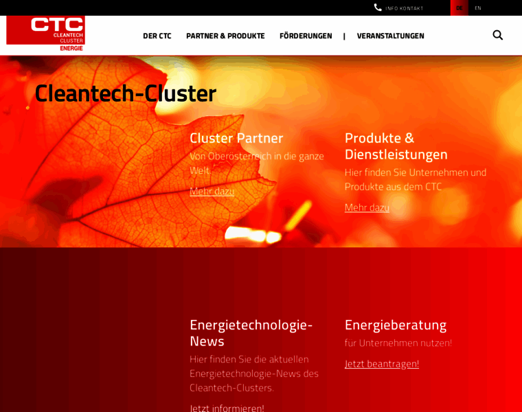 Cleantechcluster-energie.at thumbnail