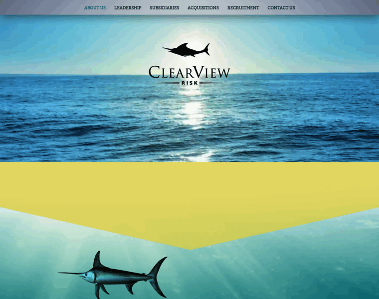 Clearviewrisk.com thumbnail