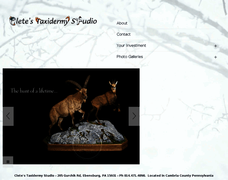 Cletestaxidermy.com thumbnail