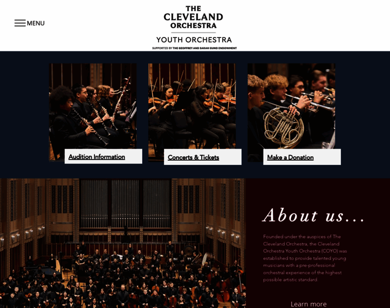 Clevelandorchestrayouthorchestra.com thumbnail