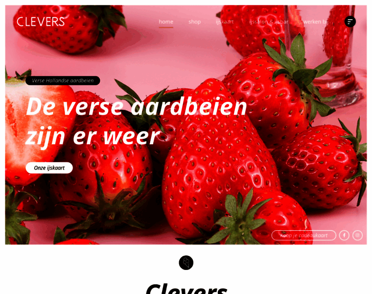 Clevers.nl thumbnail