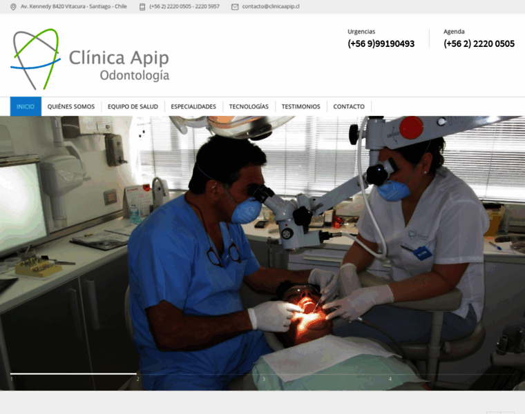 Clinicaapip.cl thumbnail