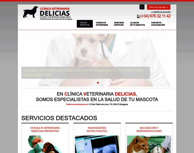 Clinicaveterinariadelicias.es thumbnail