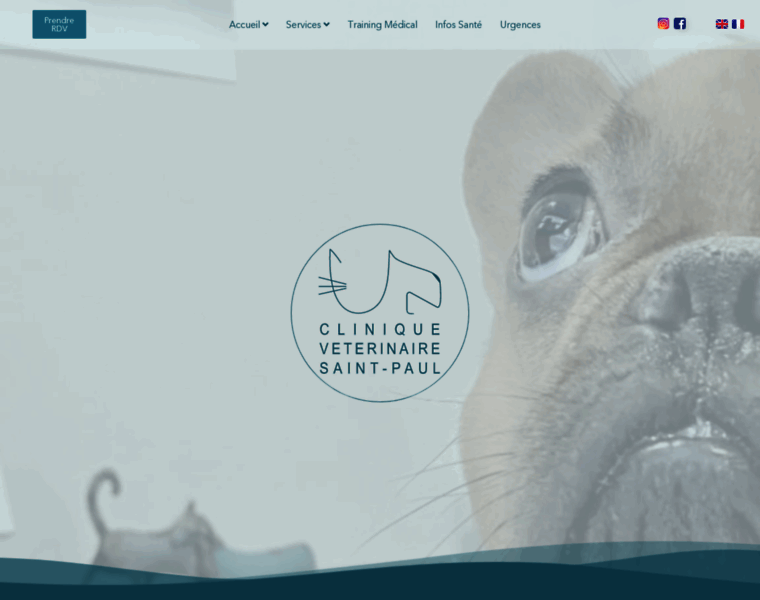 Clinique-veterinaire-paris-saint-paul.fr thumbnail